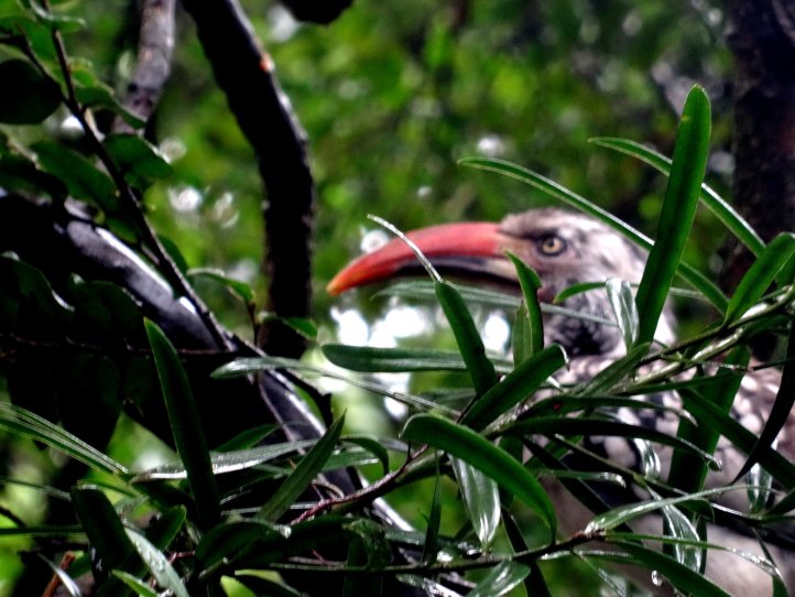 2018-03-15 15302722363..jpg